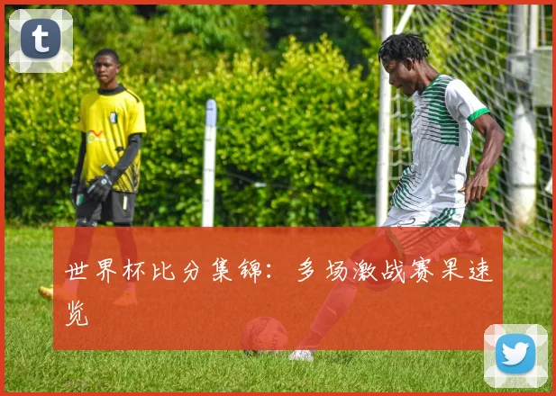 世界杯比分集锦：多场激战赛果速览