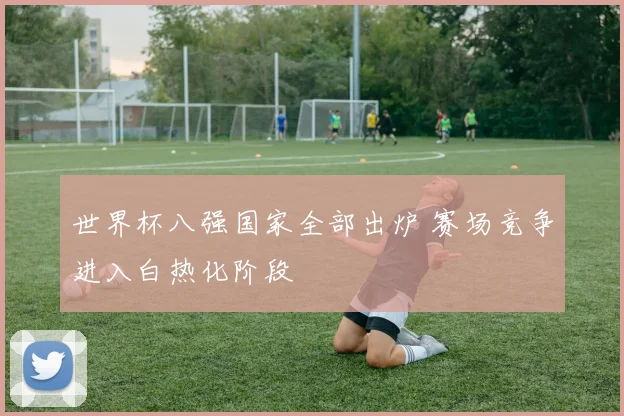 世界杯八强国家全部出炉 赛场竞争进入白热化阶段