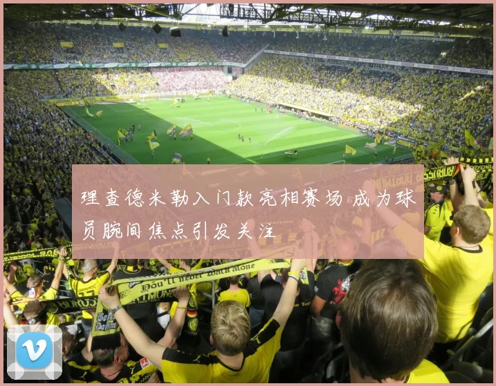 理查德米勒入门款亮相赛场 成为球员腕间焦点引发关注
