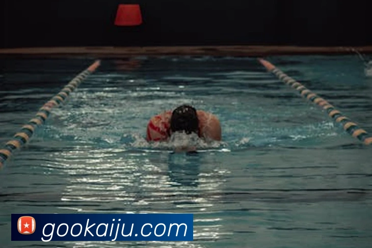 买球官方品牌故事